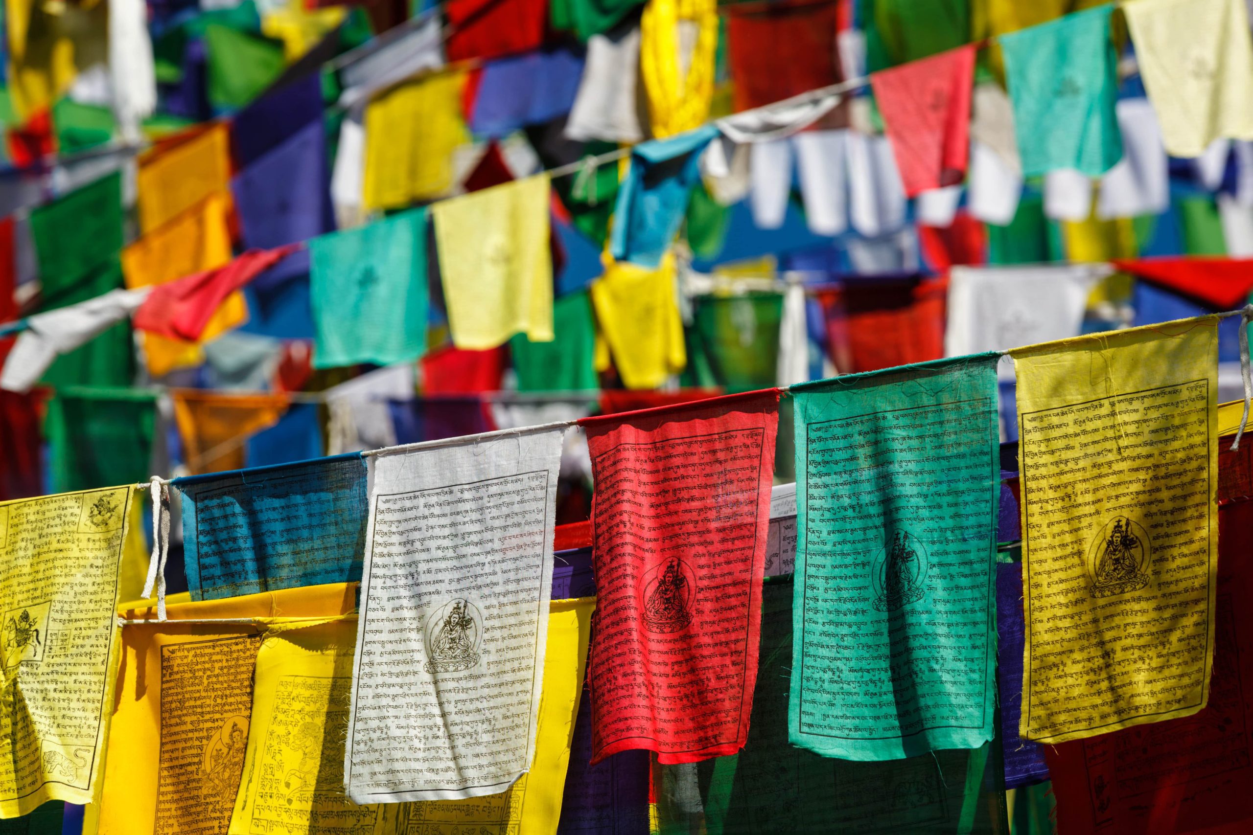 buddhist-prayer-flags-lunga-in-mcleod-ganj-himach-2021-09-04-01-22-29-utc-min